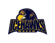 Ice Hawks